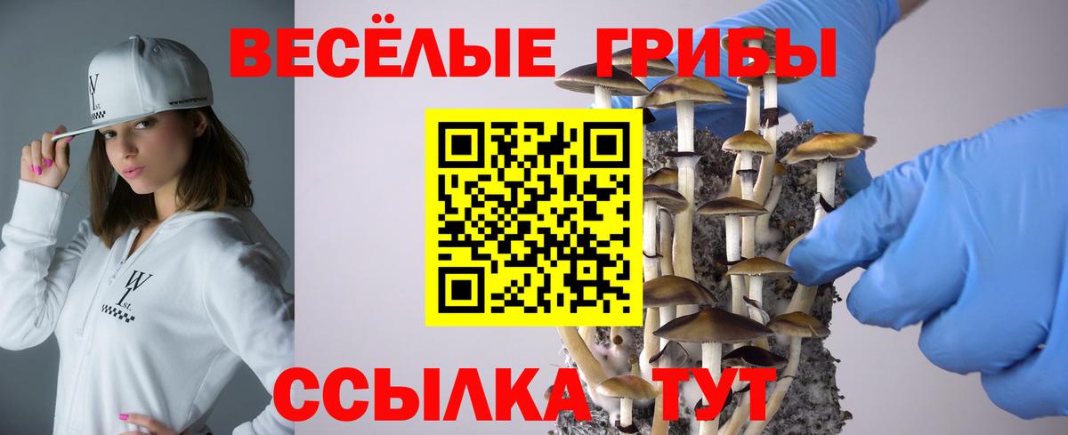 Магадан  Псилоцибиновые грибы прущие грибы  Вход с VPN 